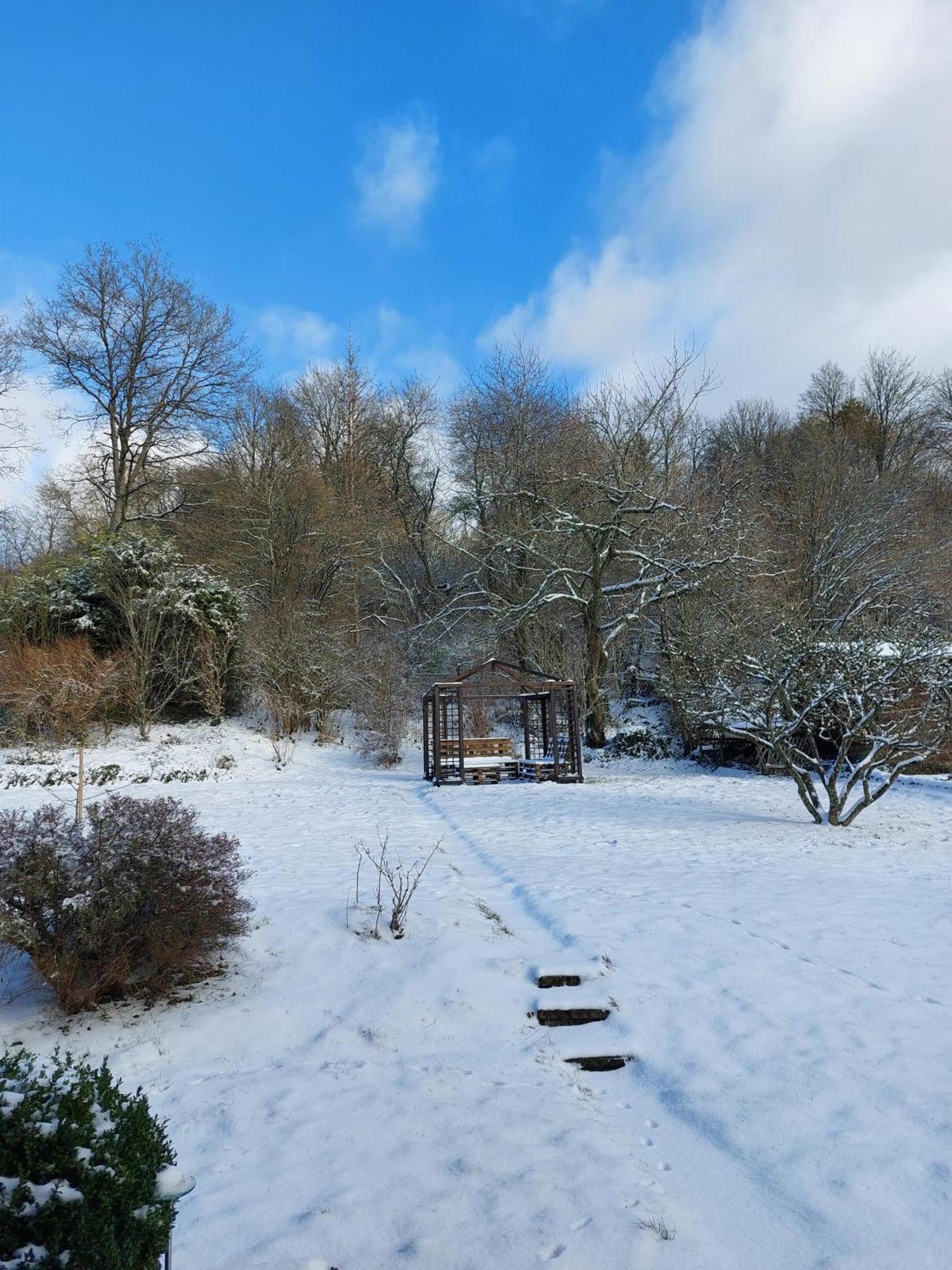 Apartment Haus Waldblick *